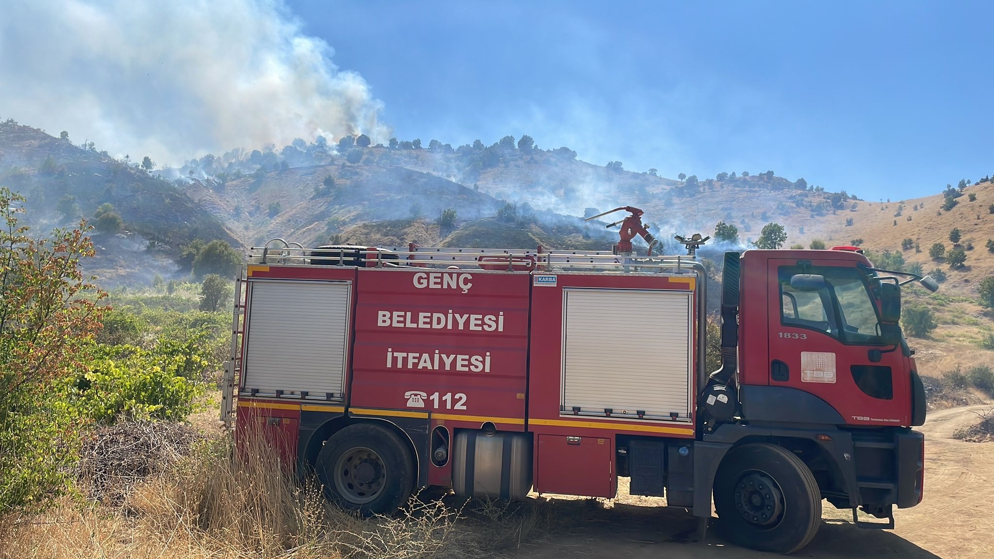 Genç’te Çıkan Yangın Ormana Sıçradı