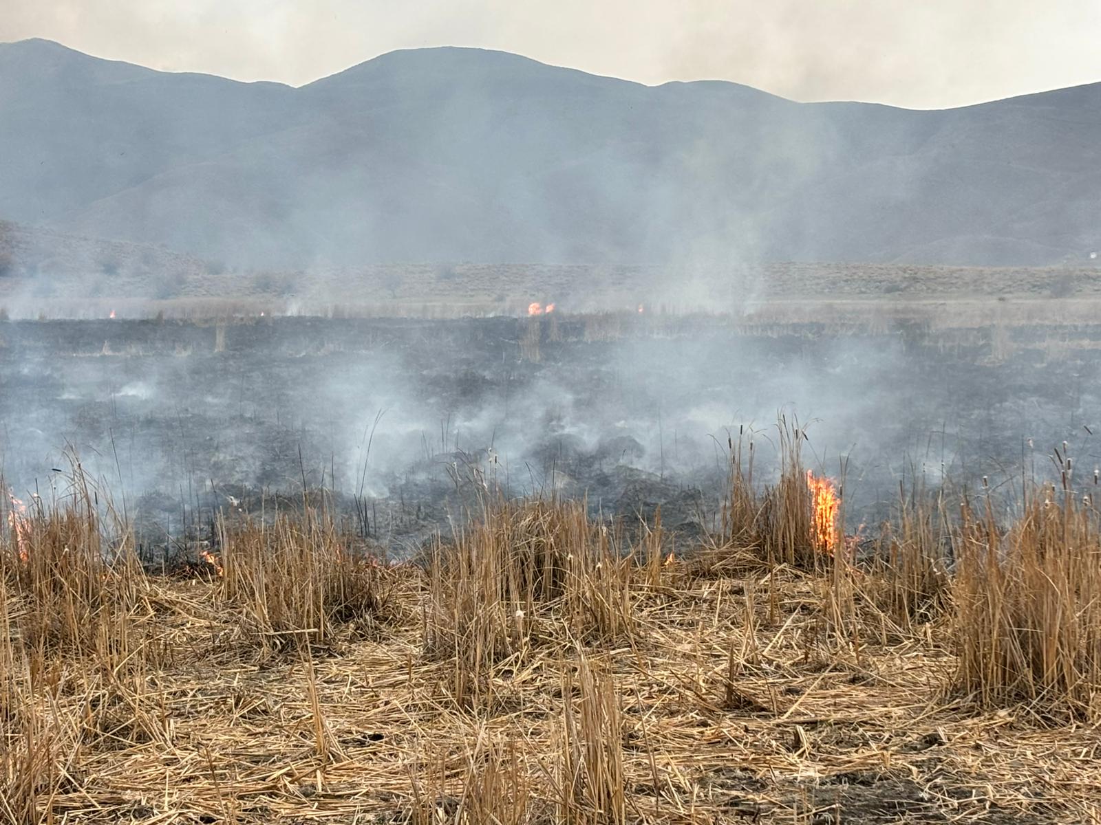 Karlıova’da anız yangını söndürüldü