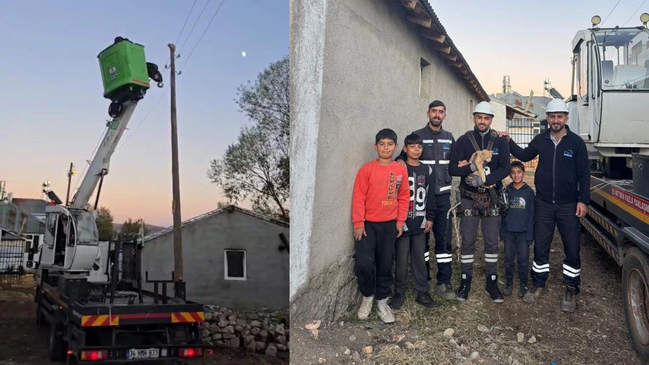 Karlıova’da Elektrik Direğinde Mahsur Kalan Kedi Kurtarıldı