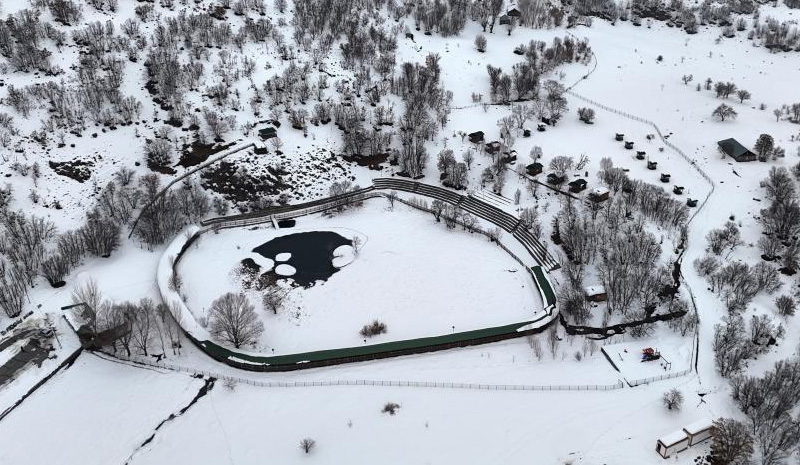 Yüzen Adalar’da Görsel Şölen