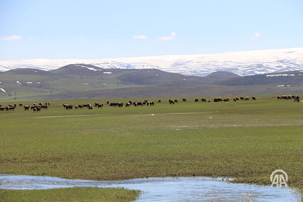 Bingöl’de Meralar Kiraya Verilecek