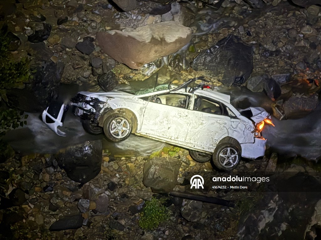 Karlıova Yedisu Yolunda Trafik Kazası: 1 Ölü, 1 Yaralı