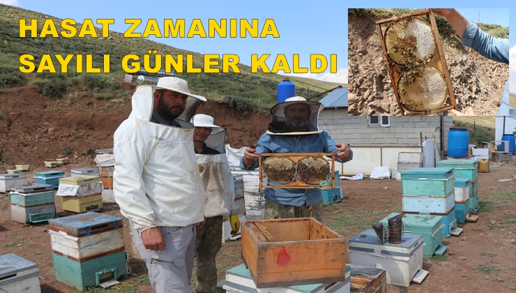 Coğrafi işaretli lezzette en kaliteli ürün bu sene gelecek