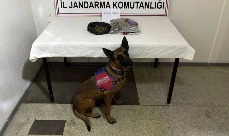 Bingöl’de 4 Firari Hükümlü Yakalanarak Cezaevine Gönderildi