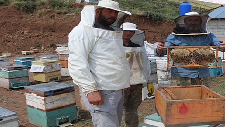 Arıcılara Yeni Destek Ödeme Tutarlarını Belli Oldu